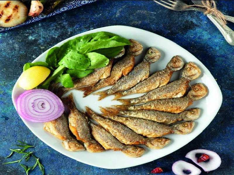 ÇİNEKOP TAVA